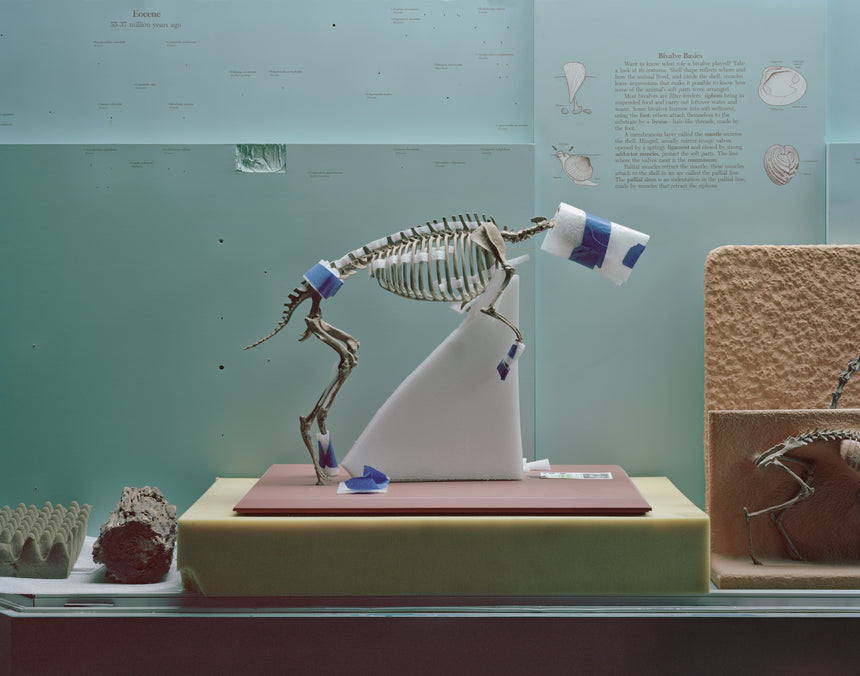 museum, by Sayler/Morris & Christina Seely